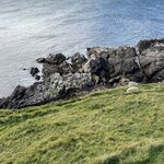 Photo taken by Danielle P