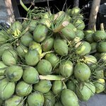 Photo taken by Leslie S