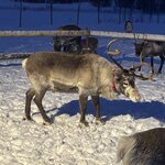 Photo taken by Jennifer M