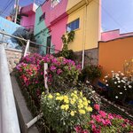 Photo taken by Shirley S