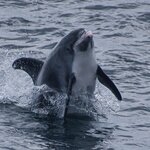 Photo taken by Yumi A