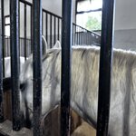 Photo taken by Jon A