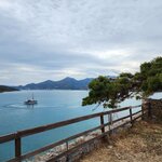 Photo taken by Matt M