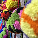 Photo taken by Brenna M