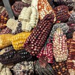 Photo taken by Erica A