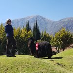 Photo taken by Denisse G