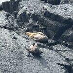 Photo taken by Gary W