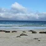 Photo taken by caitrinad@yahoo.co.uk A