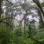 Photo taken by Chaitra P