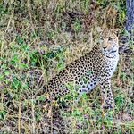 Photo taken by Kaye D