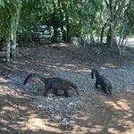 Photo taken by Douglas S