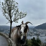 Photo taken by ANNIE C