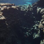 Photo taken by Nan K