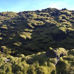 Moss covered valley  | Photo taken by Marisa K