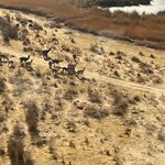 Photo taken by Shanthi V