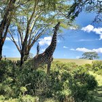 Photo taken by Virginia H