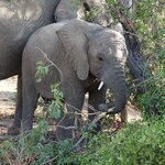 Photo taken by Sandro P