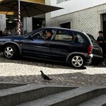 Photo taken by Dee C