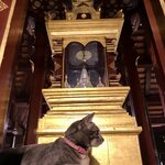 Photo taken by Shaula L