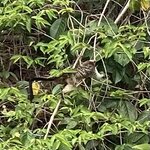 Photo taken by Sharon N