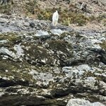 Photo taken by Ray R