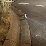 Photo taken by Julie H