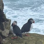 Photo taken by Tom B