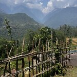 Photo taken by yancey A