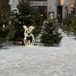 Photo taken by Ellyn V