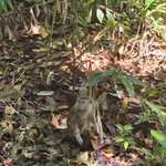 Photo taken by Sabiha K