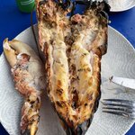 Photo taken by Louis U