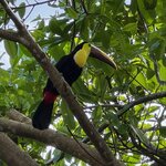 Photo taken by Chris H