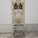 Photo taken by Sushma S