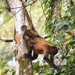 Photo taken by Graeme W