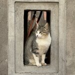 Photo taken by Colin M