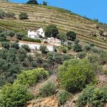 Photo taken by Stephany M