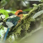 Photo taken by Ora Y