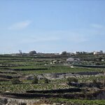 Photo taken by Candi S