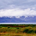 Photo taken by Andrew Z