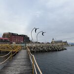 Photo taken by Amber S