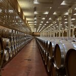 Photo taken by Liz S