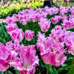 Photo taken by Nancy M