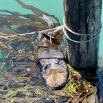 Photo taken by Silvain B