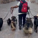 Photo taken by Gerald L