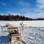 Photo taken by Bianca C