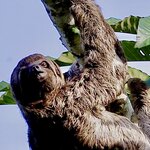 Photo taken by Sofia W