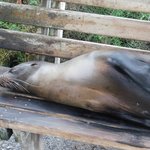 Photo taken by Steven M