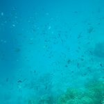 Photo taken by Dixie W