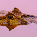 Photo taken by Dennis H