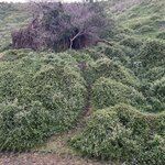 Photo taken by Rosemary S